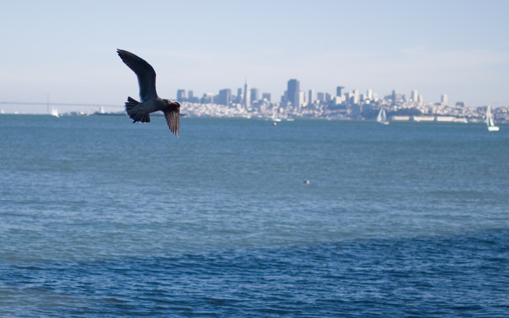 Remixing the sounds of San Francisco Bay...