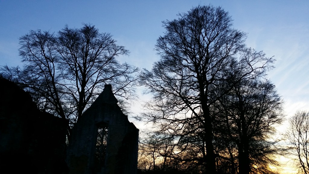 Alfred Hitchcock's The Birds in Minster Lovell