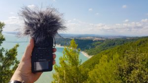 field recording tips
