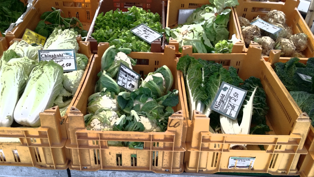 6.00 am - an early-morning food market