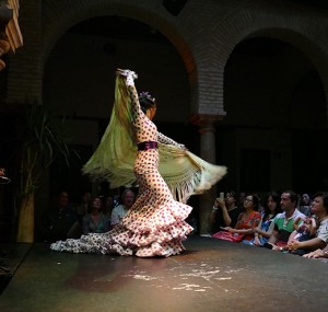 Flamenco at Museo del Baile Flamenco.