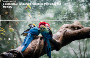 Image via Alan Godfrey at Unsplash.