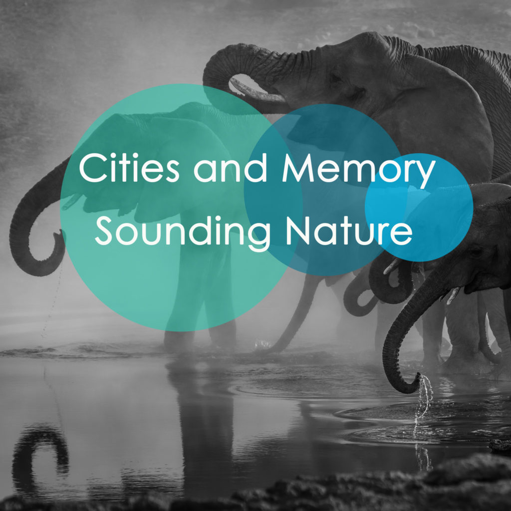 Out now - two Sounding Nature albums
