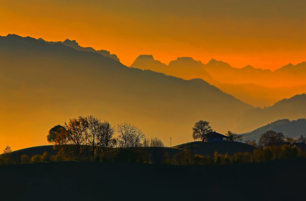 Dawn chorus photo by Ricardo Gomez Angel on Unsplash