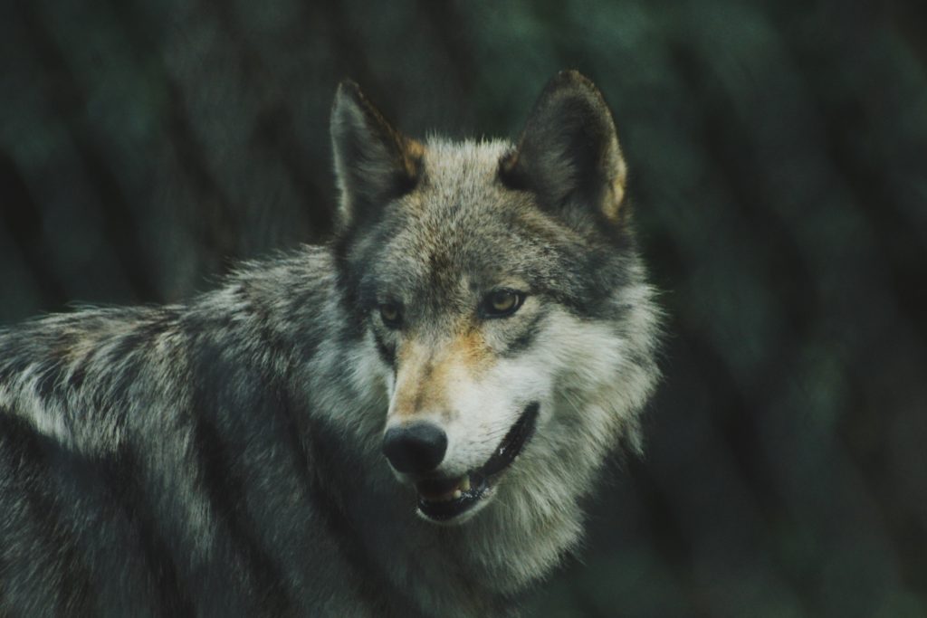 Photo by Michael LaRosa on Unsplash