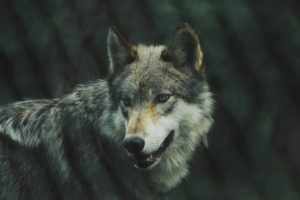 Photo by Michael LaRosa on Unsplash