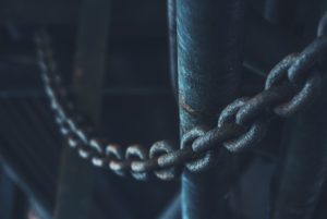 Photo by Daniel von Appen on Unsplash