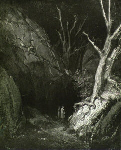 dark forest