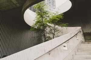 Photo by Alexander Abero on Unsplash