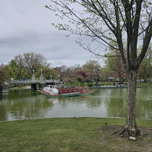 Boston common