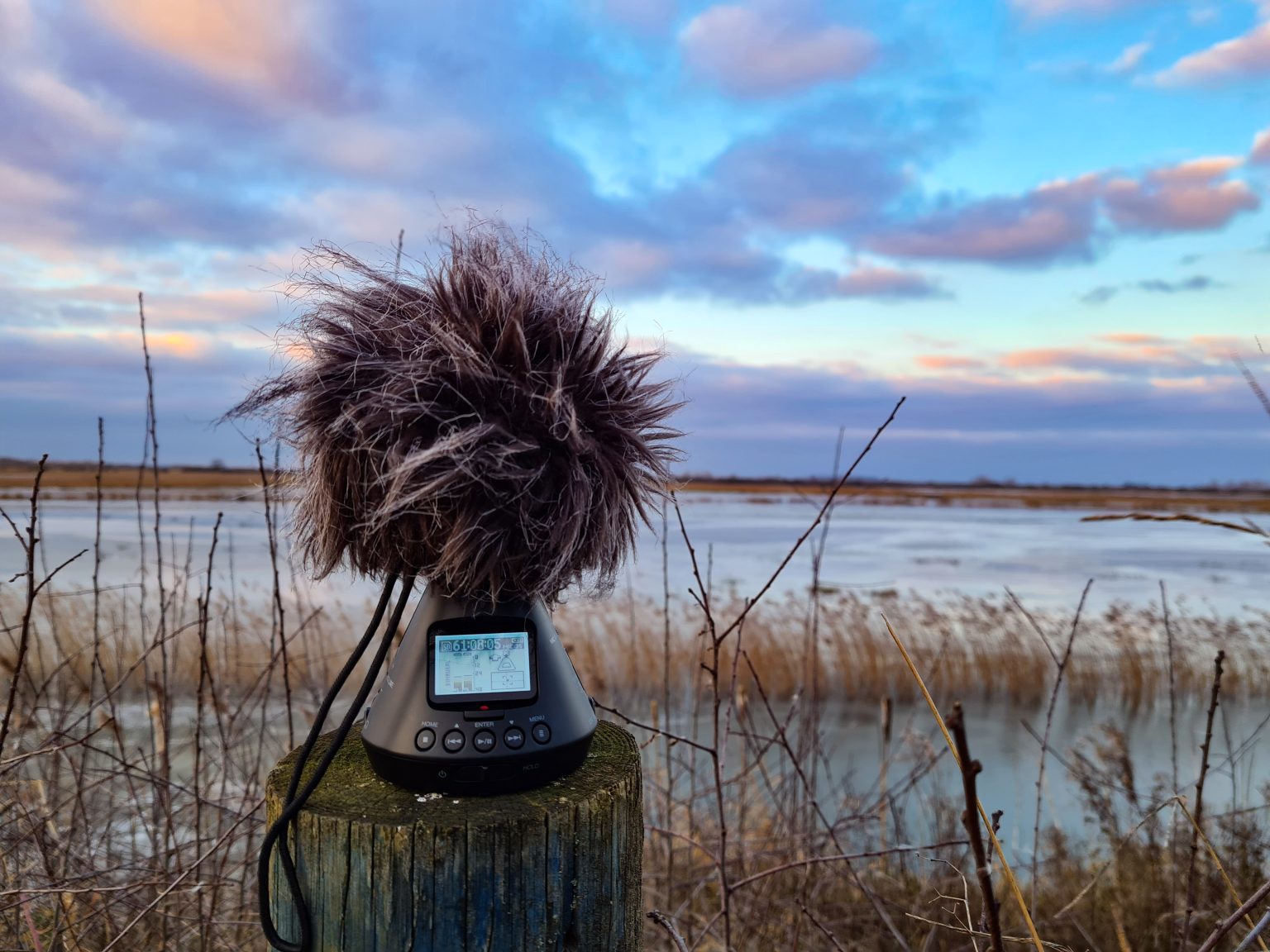 Cities and Memory - global sound map, field recording and sound art
